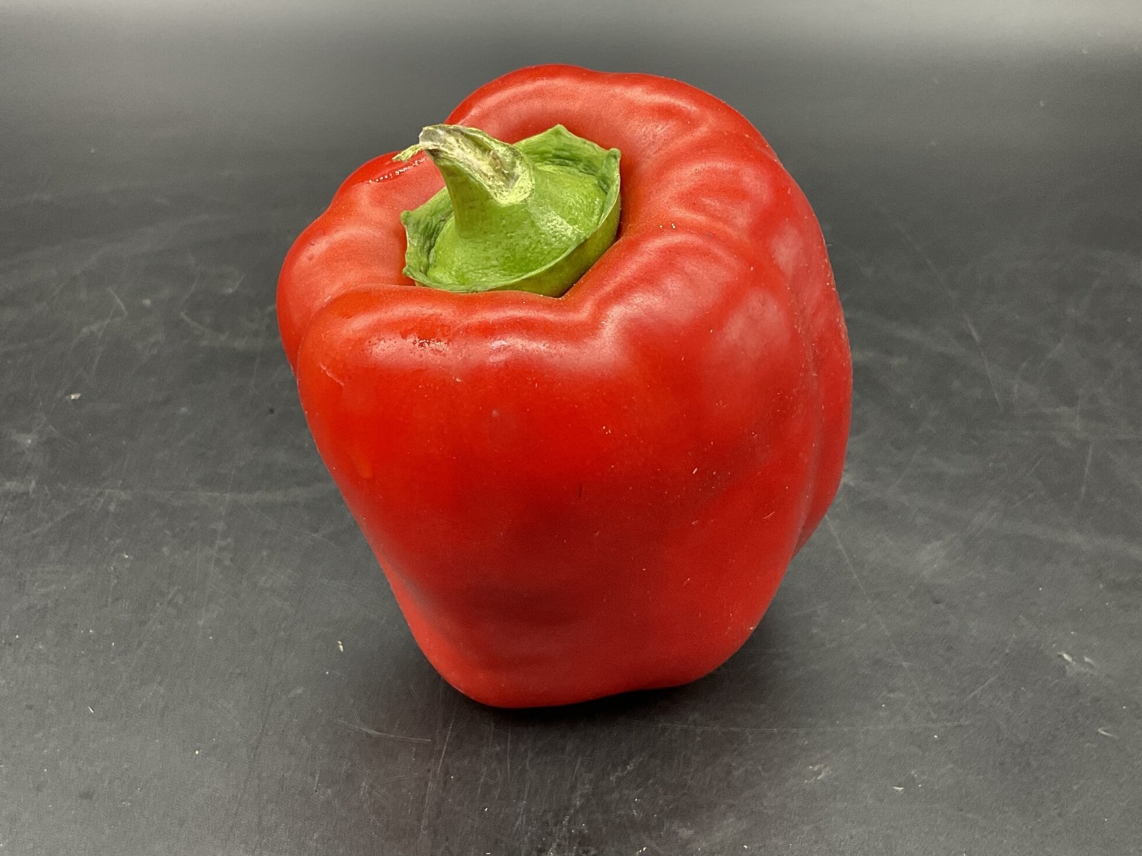 WhatsApp Image 2025-01-19 at 09.27.58