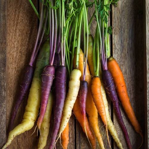 WhatsApp Image 2025-01-28 at 12.15.22